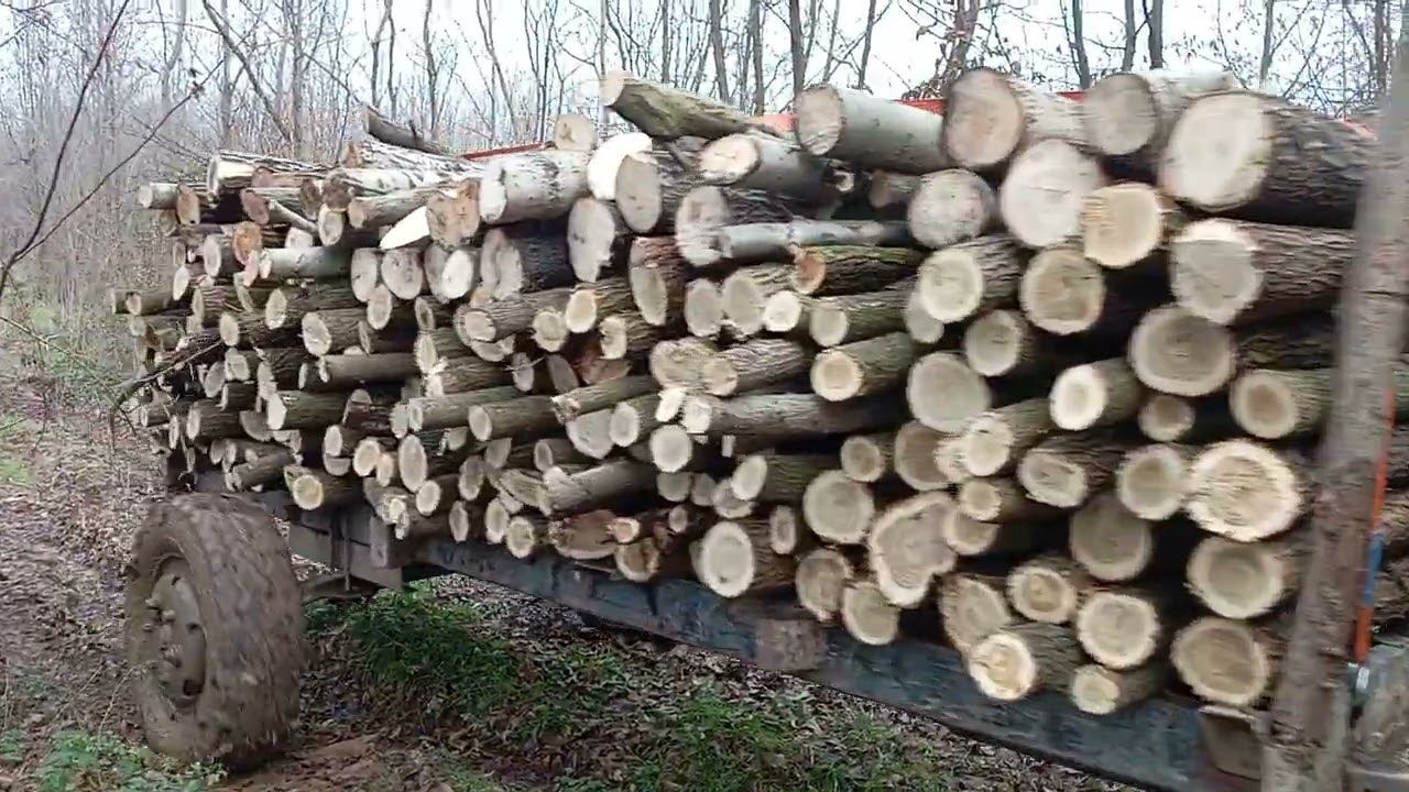 IMT 560 U VELIKOM BLATU ćale šoferira💪