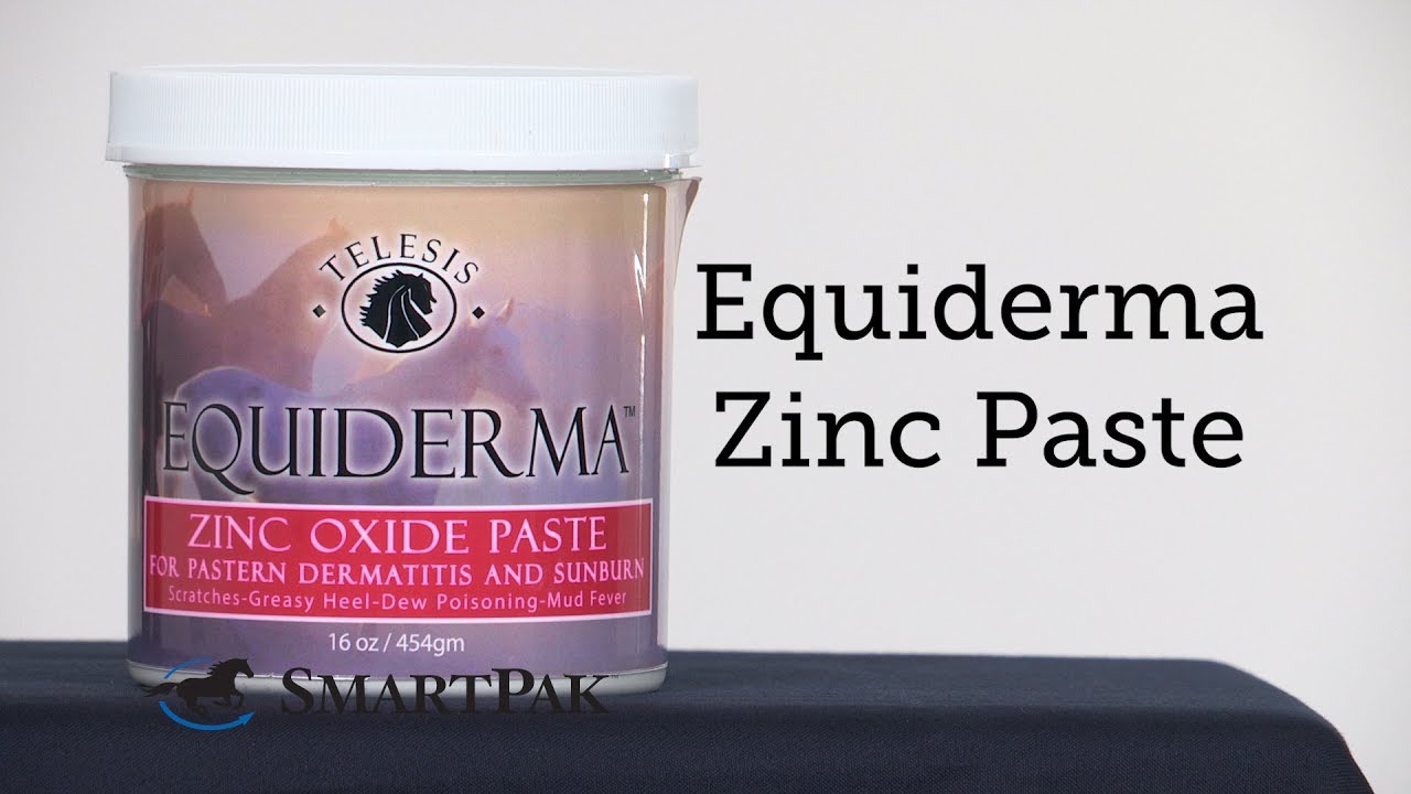 Equiderma Zinc Paste Review