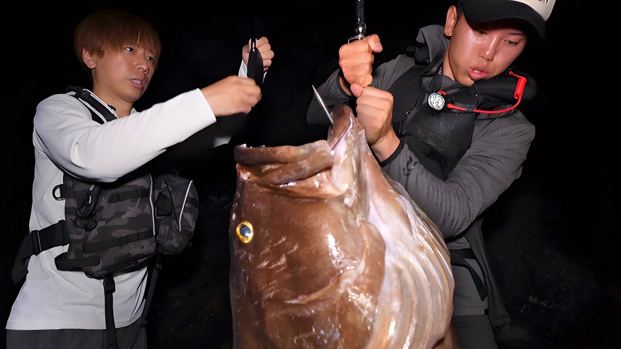 【神回】人生最大級の超巨大魚を釣り上げた奇跡の映像‼️ Japanese giant grouper‼︎