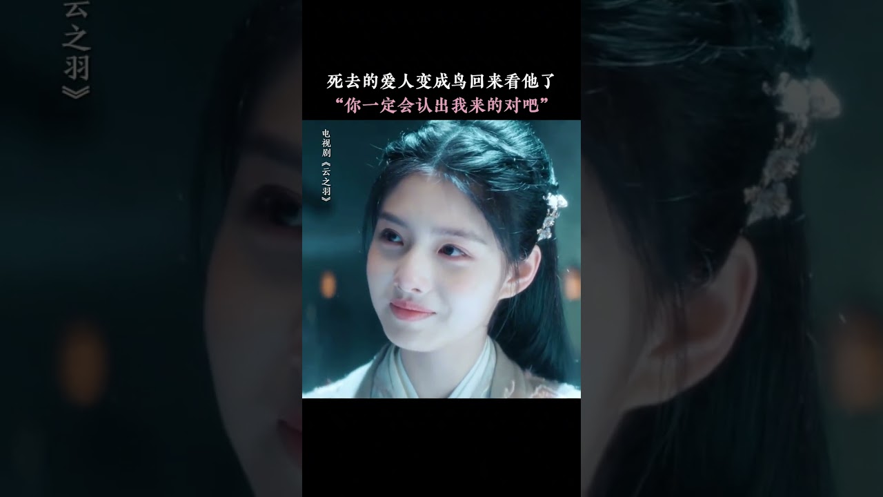 &ldquo;你还在，但我的云雀没了&ldquo; | 云之羽 My Journey to You | 虞书欣 张凌赫｜❤︎ 爱奇艺心动剧场 ❤#shorts