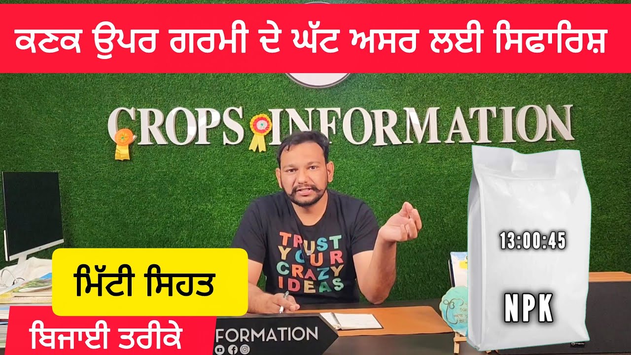 ਕਣਕ ਉੱਪਰ ਗਰਮੀ ਦਾ ਅਸਰ ਹੋਣ ਤੋਂ ਕਿਵੇਂ ਬਚੀਏ wheat crop heat stress management 