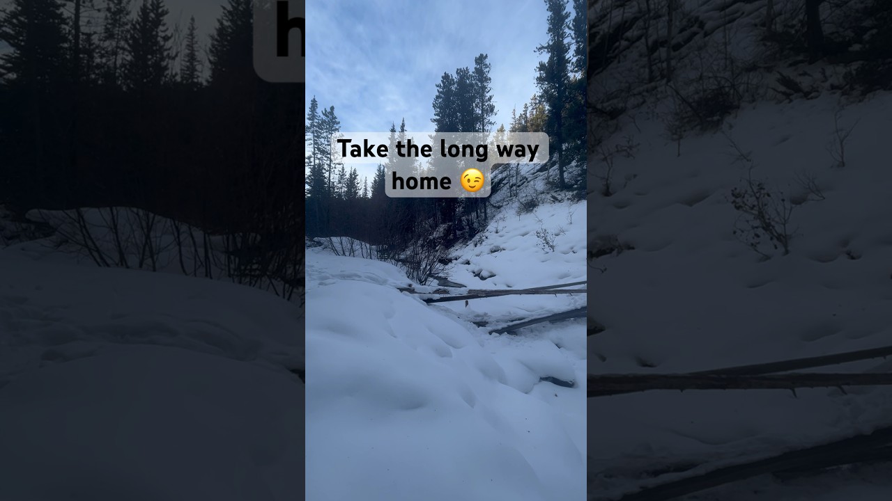 Take the long way&hellip;.👍 #hiking #outdoors #nature #fun #shorts #winterhike #snow