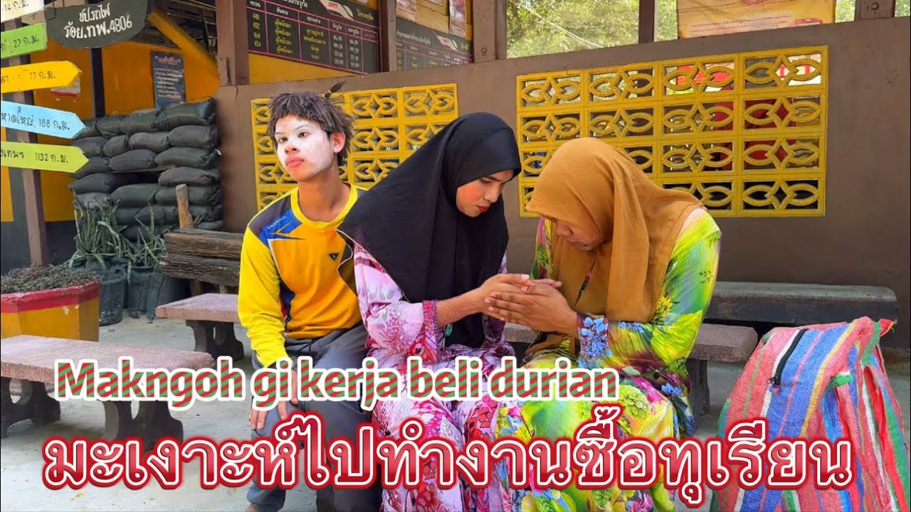 Makngoh gi kerja beli durian มะเงาะห์ไปทำงานซื้อทุเรียน