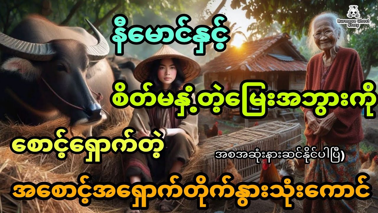 နီမောင်နှင့် စိတ်မနှံ့တဲ့မြေးအဘွားကိုစောင့်ရှောက်တဲ့ အစောင့်အရှောက် တိုက်နွားသုံးကောင် (အစအဆုံး)