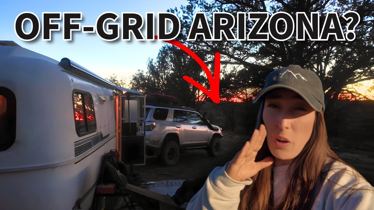 Should I Buy This ABANDONED HOMESTEAD??