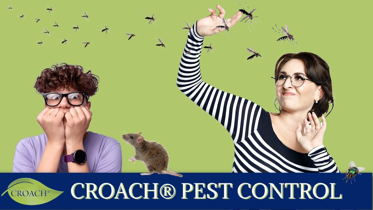 Croach&reg; Pest Control Services