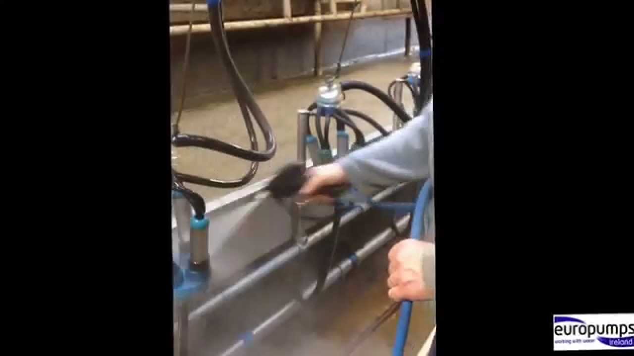 Dairy Wash Down System