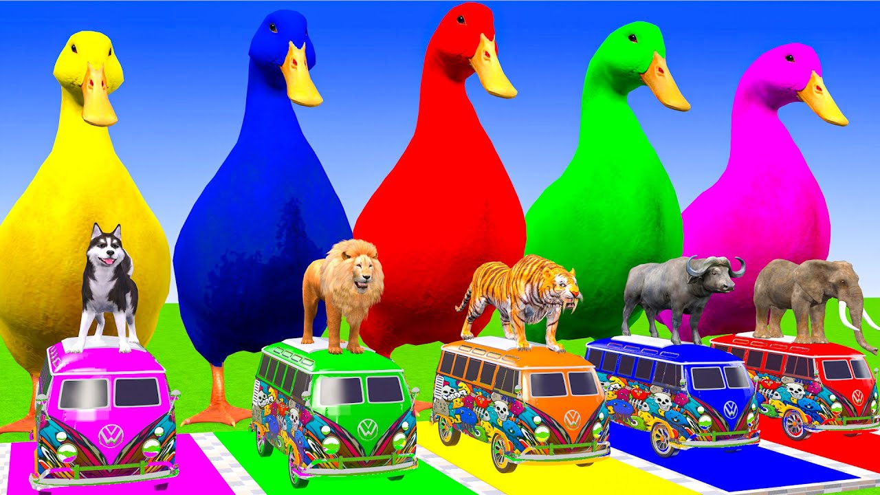 5 Giant Duck Cartoon, Cow, Mammoth, Elephant, Tiger, Paint Wild Animals Crossing Fountain Animation