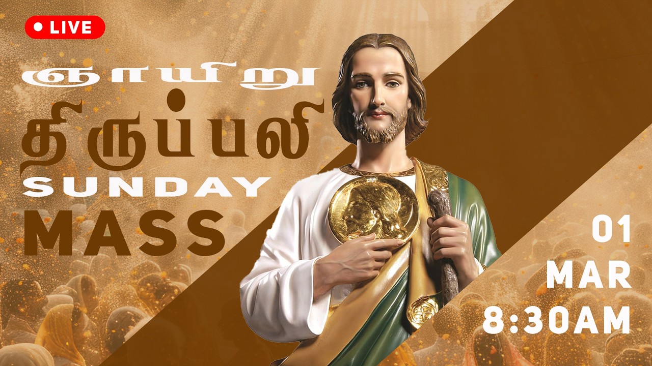 🔴LIVE: Tamil Holy Mass | Sunday 01/03/2026 8:30 AM  | St. Jude's Shrine | Coimbatore