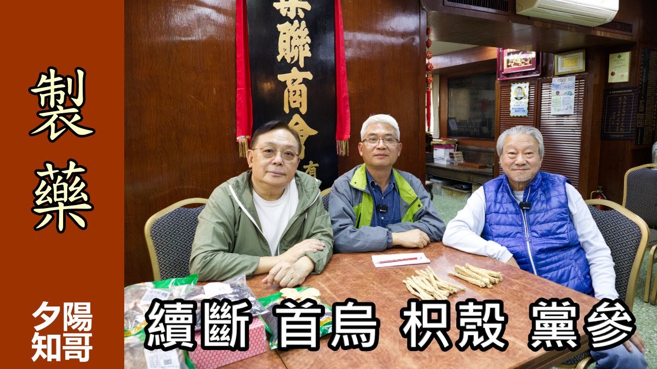 中藥篇 24｜製藥｜續斷 首烏 枳殼 黨參