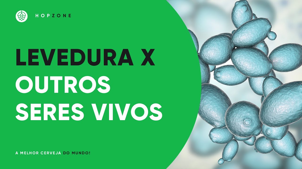 COMPARANDO A LEVEDURA COM OUTROS SERES VIVOS | EDSON PERRONE