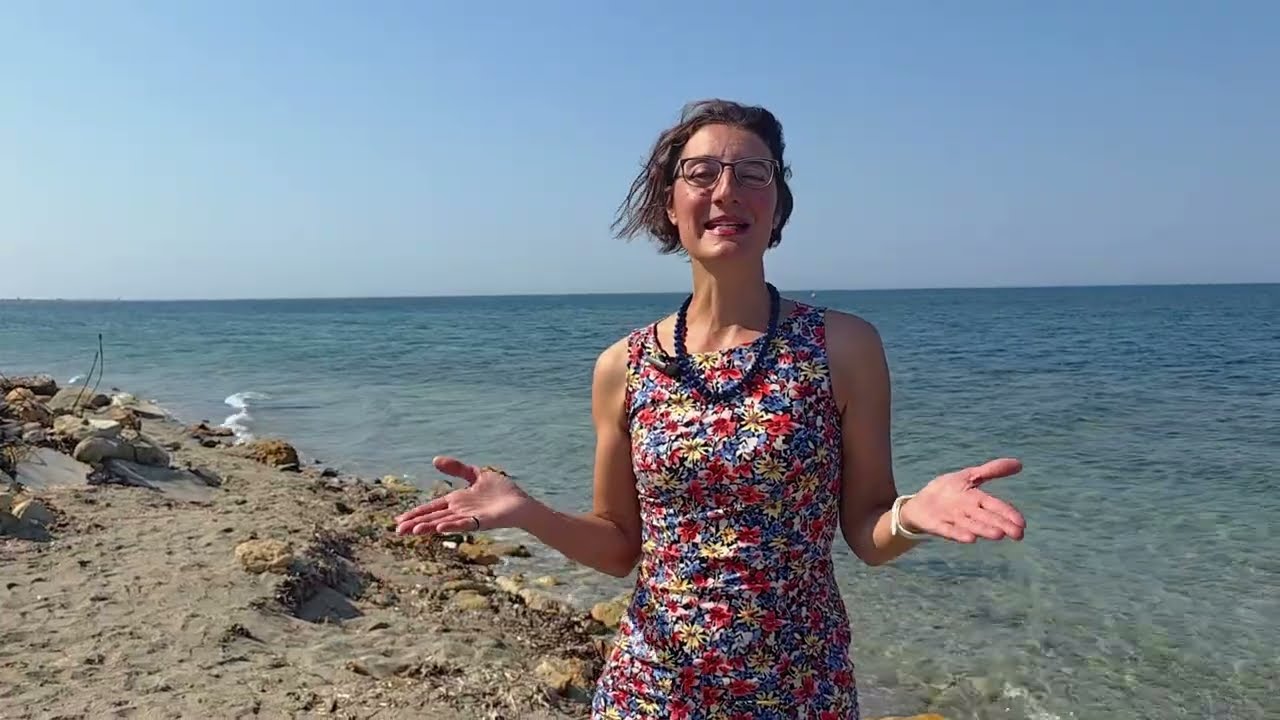 Devi sapere che portare cibo in spiaggia è un tuo DIRITTO!