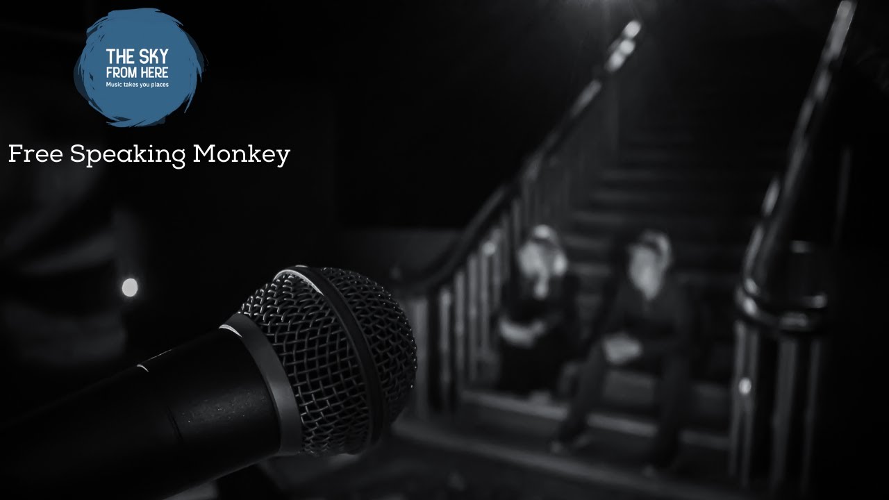 The Sky From Here w/ Free Speaking Monkey