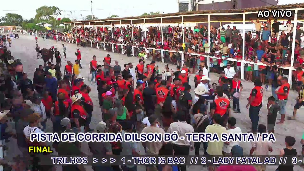 TERRA SANTA - FINAIS