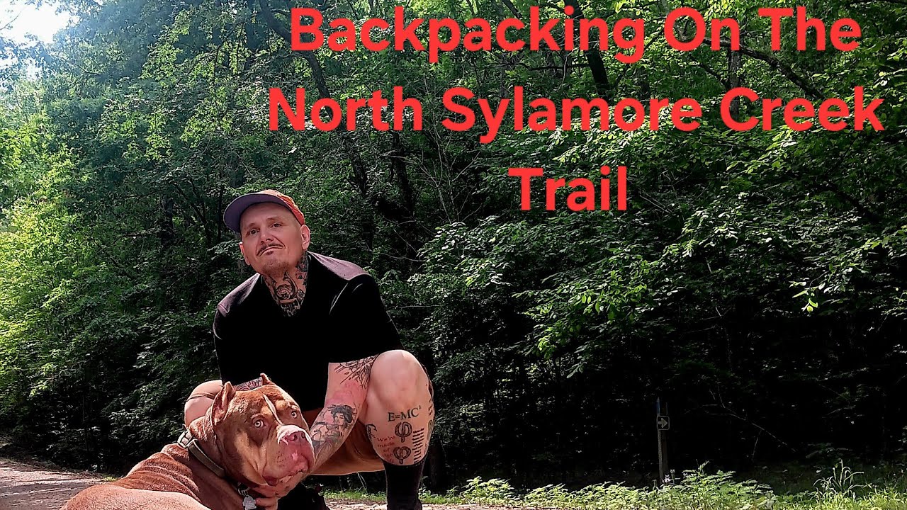 Solo Overnight Backpacking On The North Sylamore Creek Trail!!! (W/ My Dog!!)