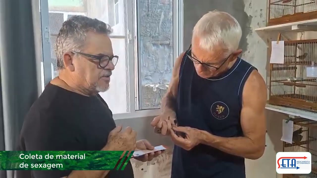 VISITA AO CRIADOR - COLETA DE MATERIAL DE SEXAGEM