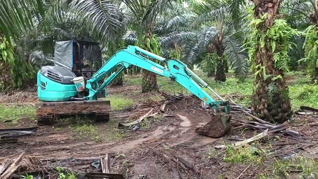 Proses pembersihan lahan bekas Banjair#alatberatterbesar #sorts #xcavator #fypシ 