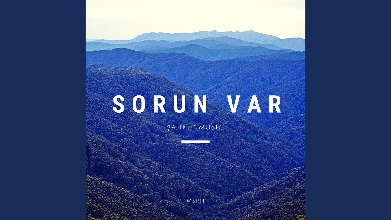 Sorun Var