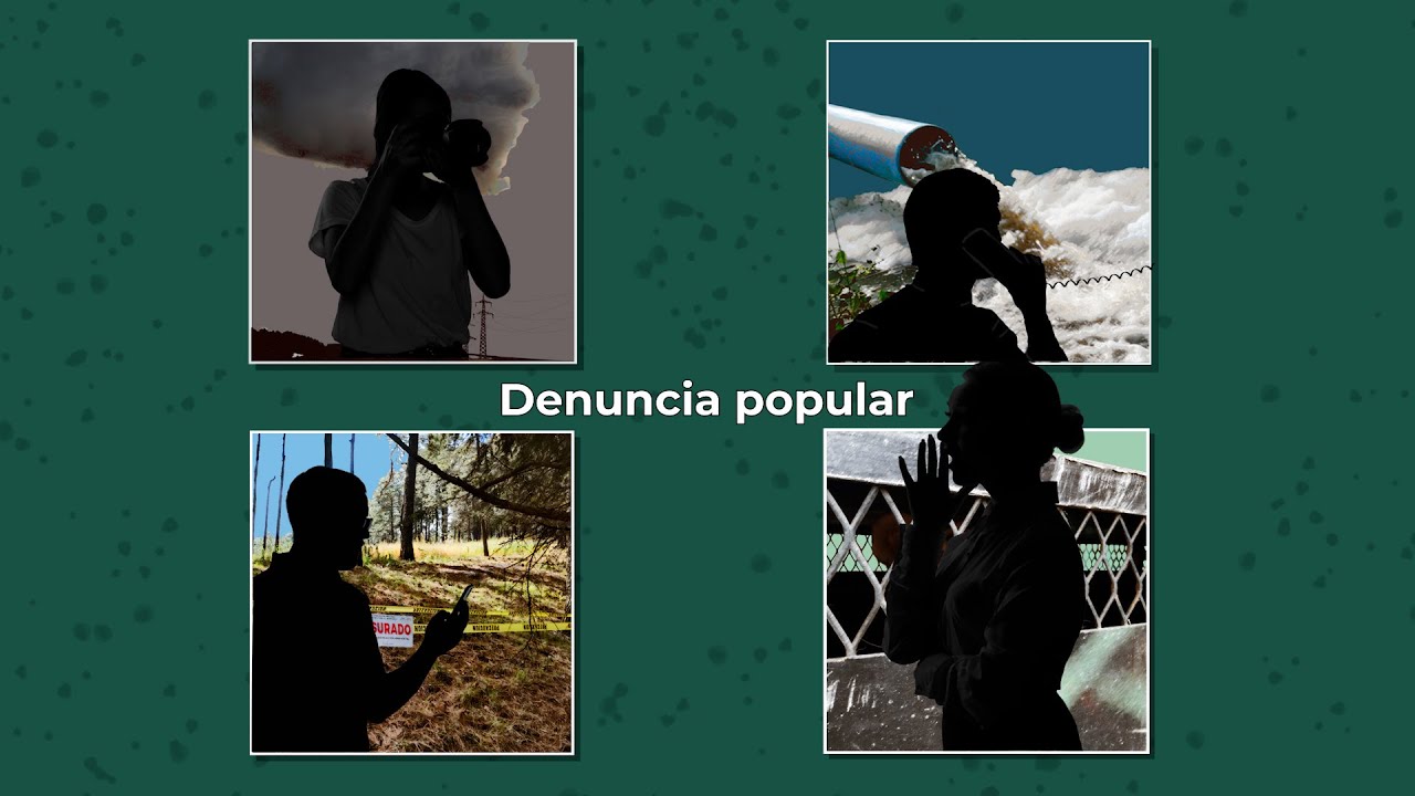 La denuncia popular
