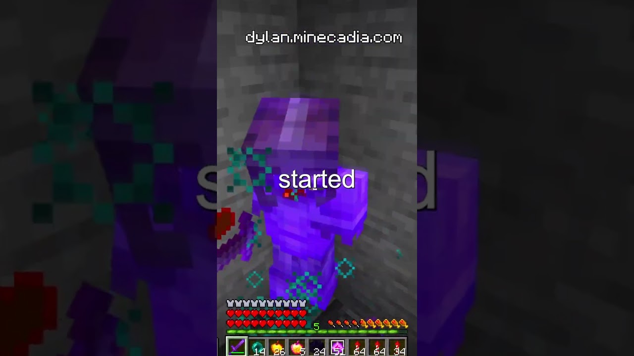 INVIS Raiding on the Lifesteal SMP!