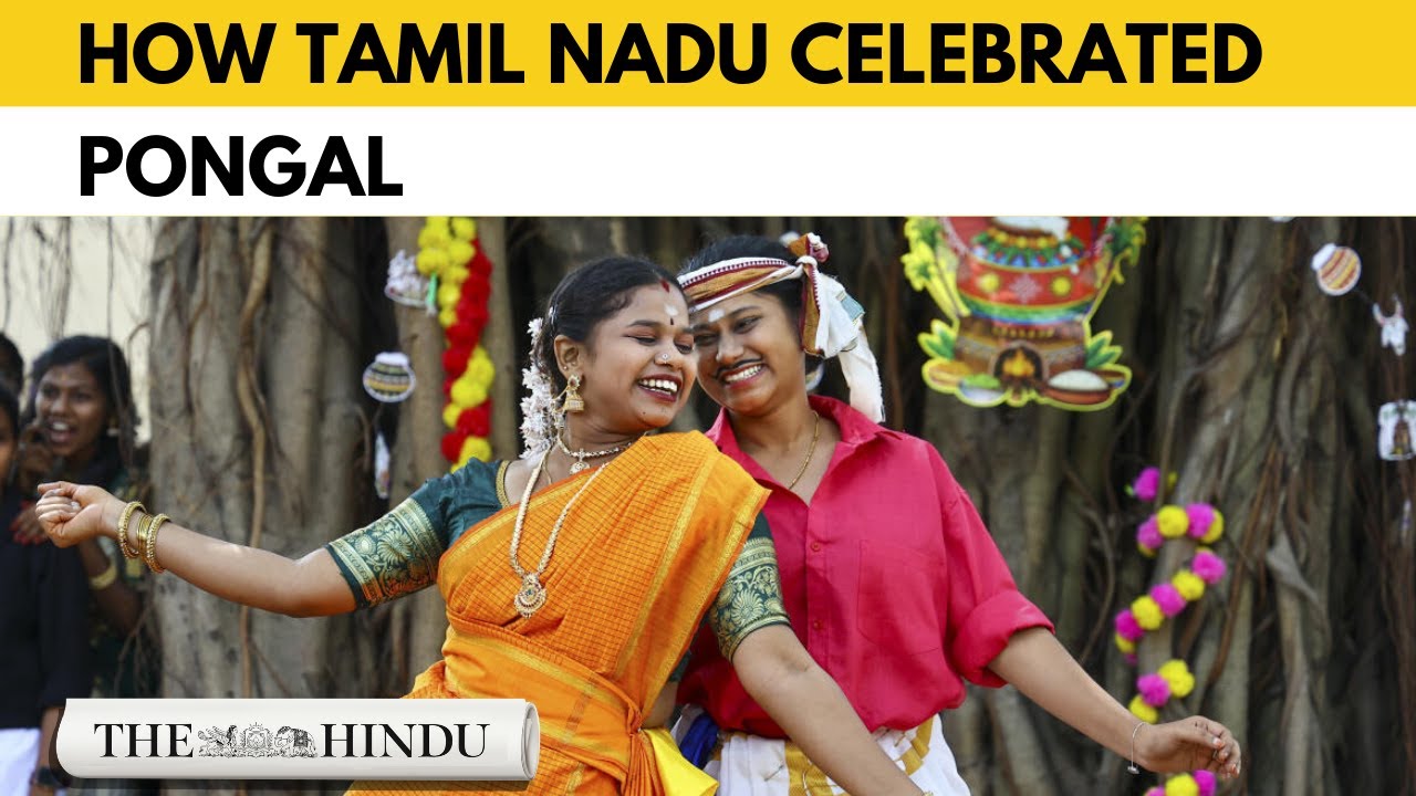 How Tamil Nadu celebrated Pongal in 2026