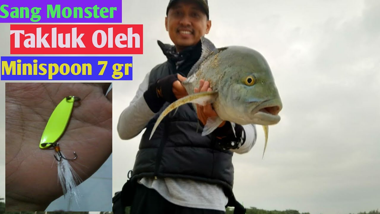 Babon Bluefin Trevally 4 Kg || Mancing di Pantai Cibuaya Ujunggenteng