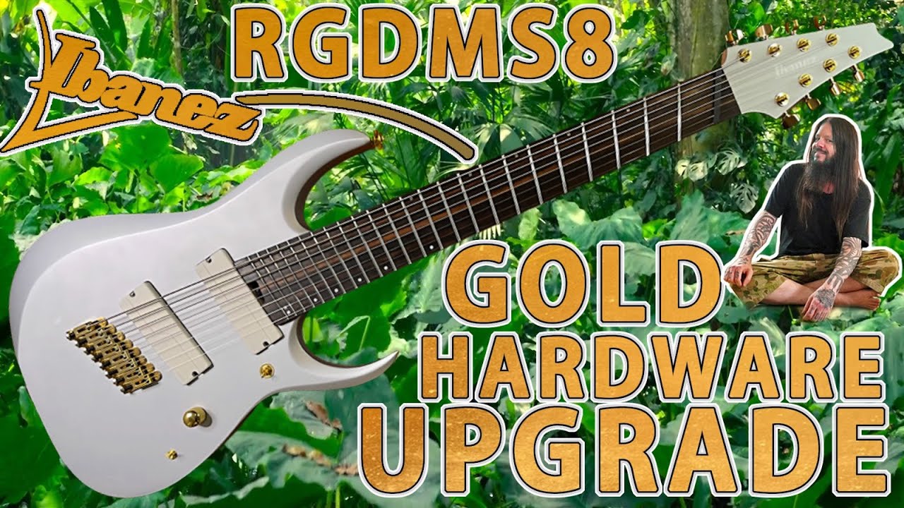 Let's Upgrade the Ibanez RGDMS8 Multiscale 8 String Guitar!