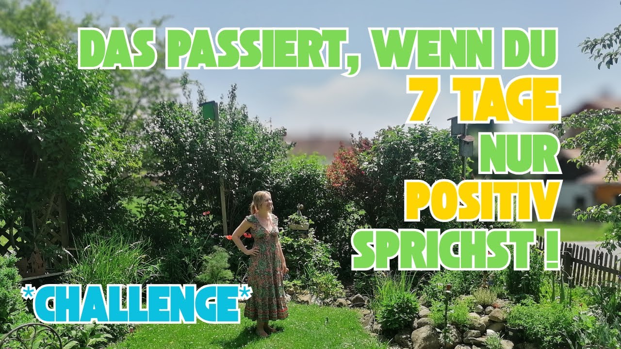 Challenge Ergebnis: Deine WORTE  beeinflussen die Manifestation!