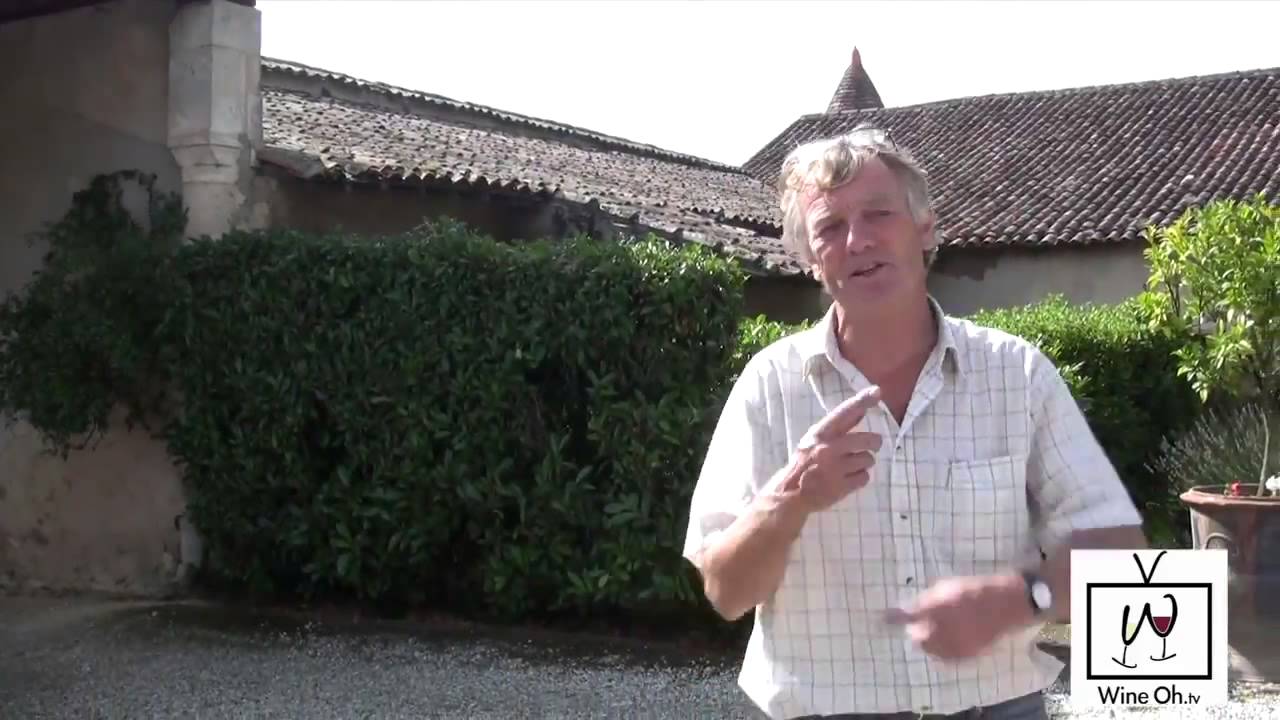 Wine Oh TV - 2013_Bordeaux_Wine_Harvest/_Weathering_the_Storm