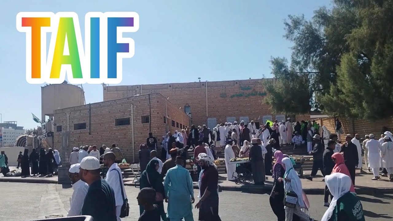 TAIF journey vlog ❤️ #vlog #taif #shabinasheikh 