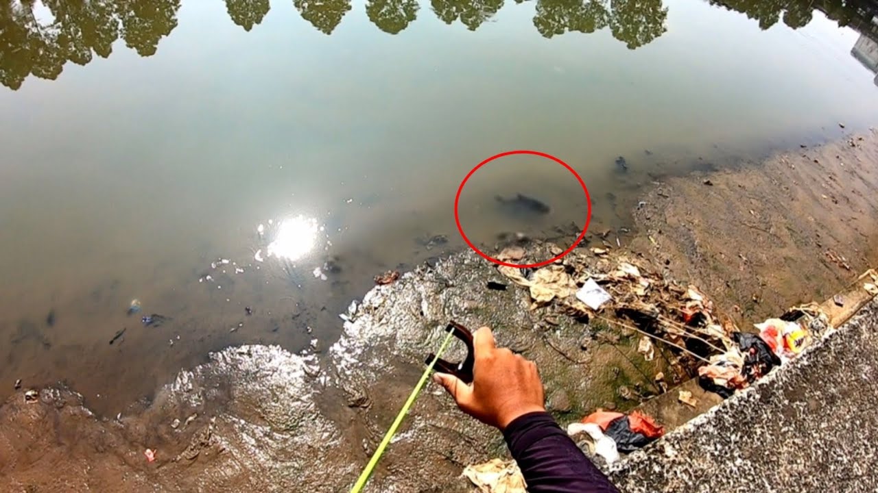 Rejeki Menanti..!! ikan Besar Sudah Di Depan Mata Kita Hajar Dia Dengan Sekali Shot