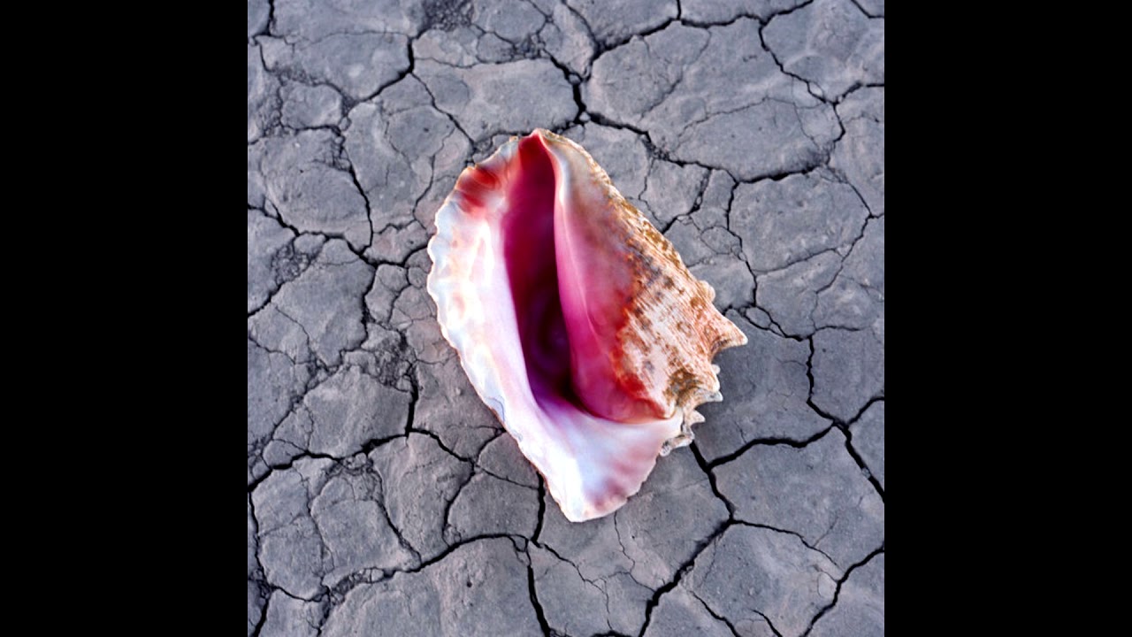 The Killers - Rut
