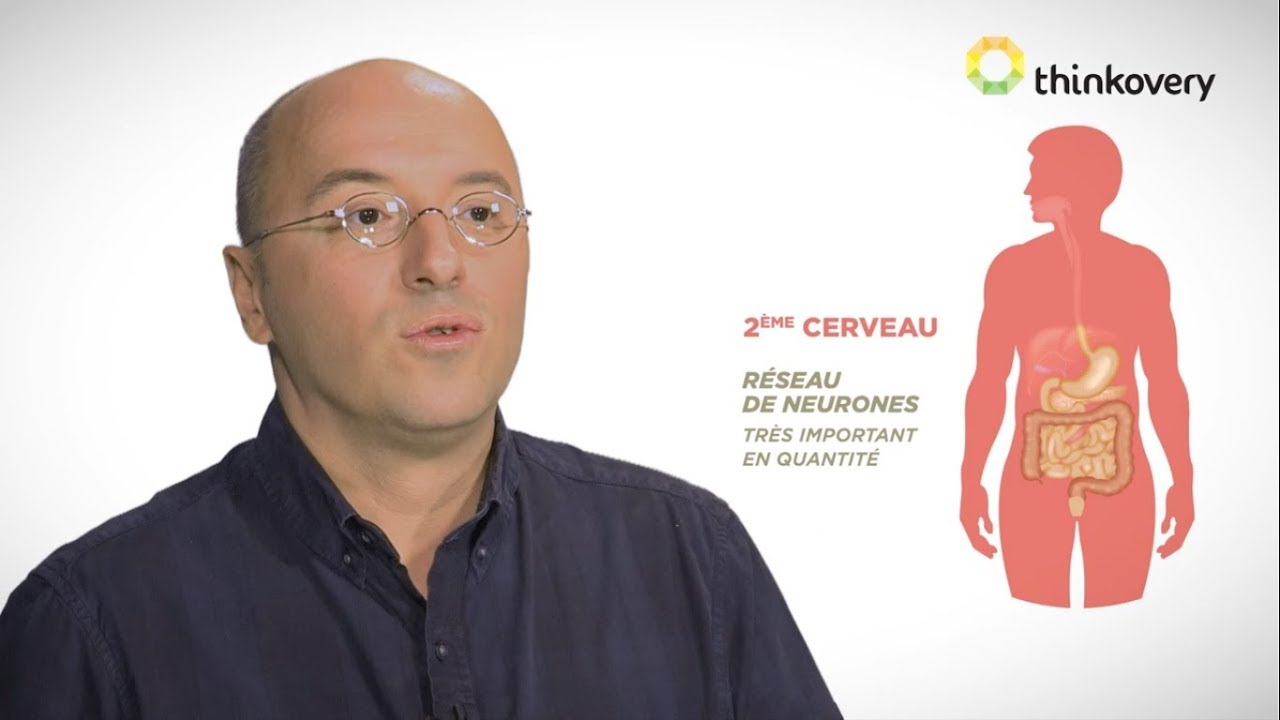 Les intestins: notre deuxième cerveau | Do You Spoc