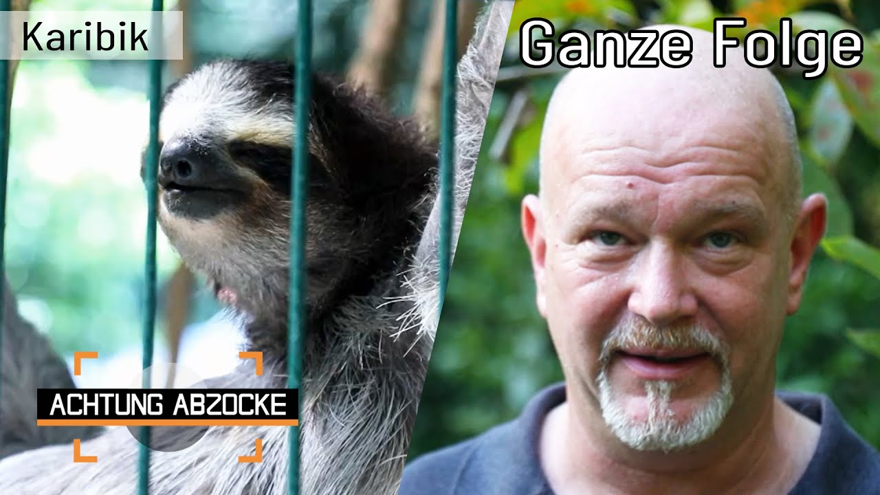 Faultiere, Kaffee und der Abzocke-FLUCH in der Karibik! | GANZE FOLGE | Achtung abzocke