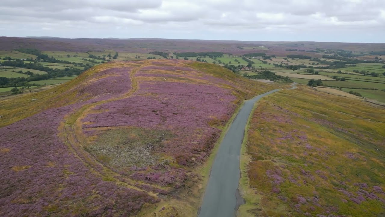 Heather on the North York Moors at Westerdale
