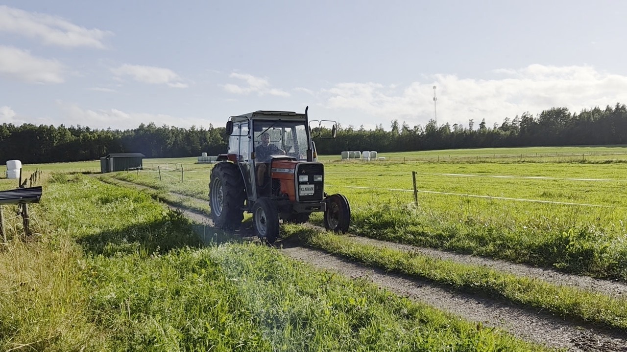 K&ouml;p Traktor Massey Ferguson 360 p&aring; Klaravik