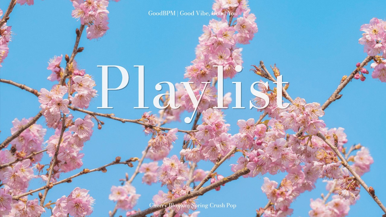 [Playlist] 春意盎然櫻花季流行英文歌🌸🍃Cherry Blossom Spring Crush Pop