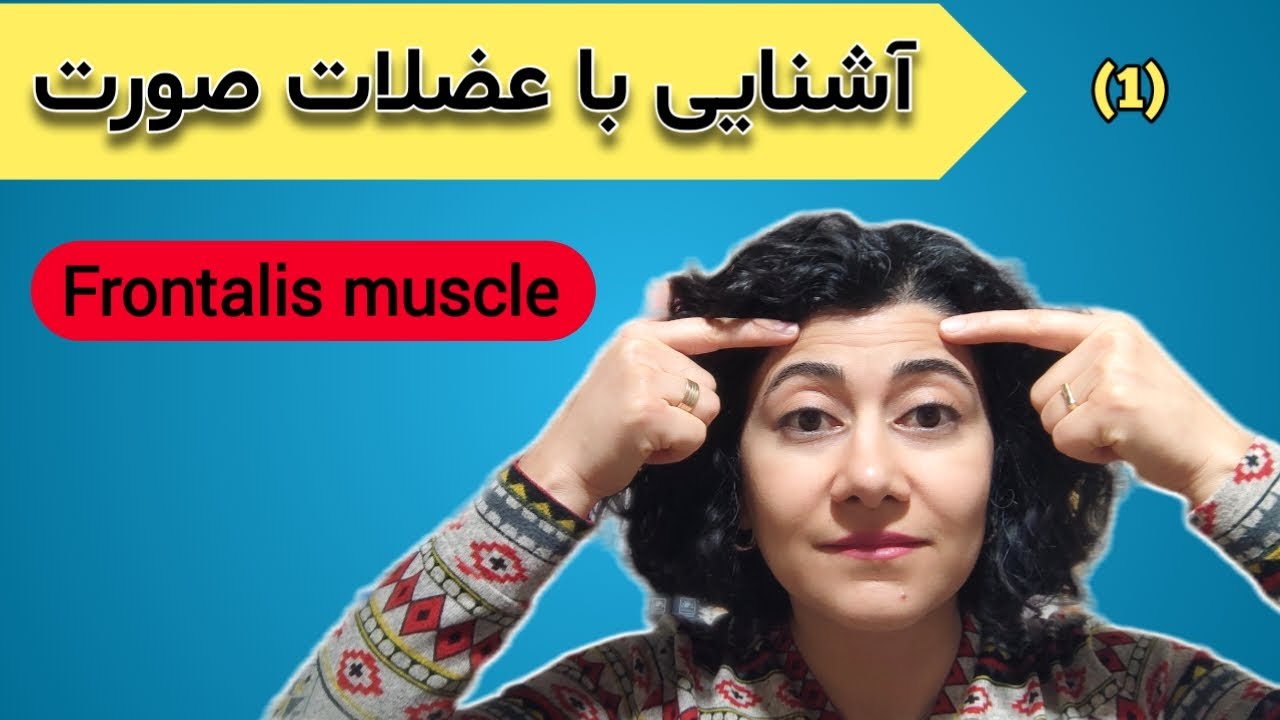 آشنایی با عضله فرونتالیس، کنترل و تمرین تخصصی خطوط پیشانی /  Frontalis Muscle - Facial Anatomy
