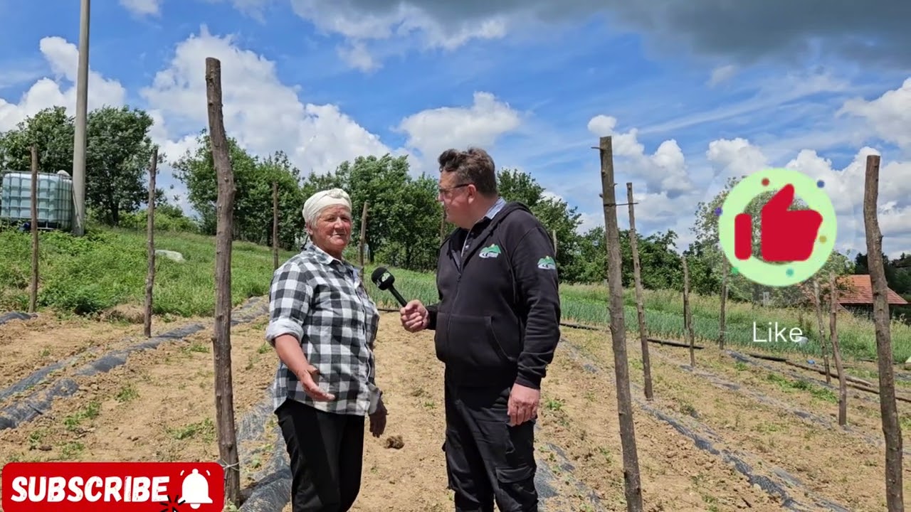 MAJDINA SLOZNA OBITELJ STO GOD PROIZVEDE TO I PRODA