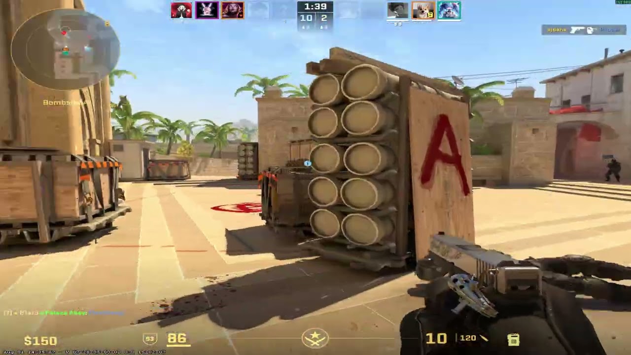 CS2 Competitive experience w/family