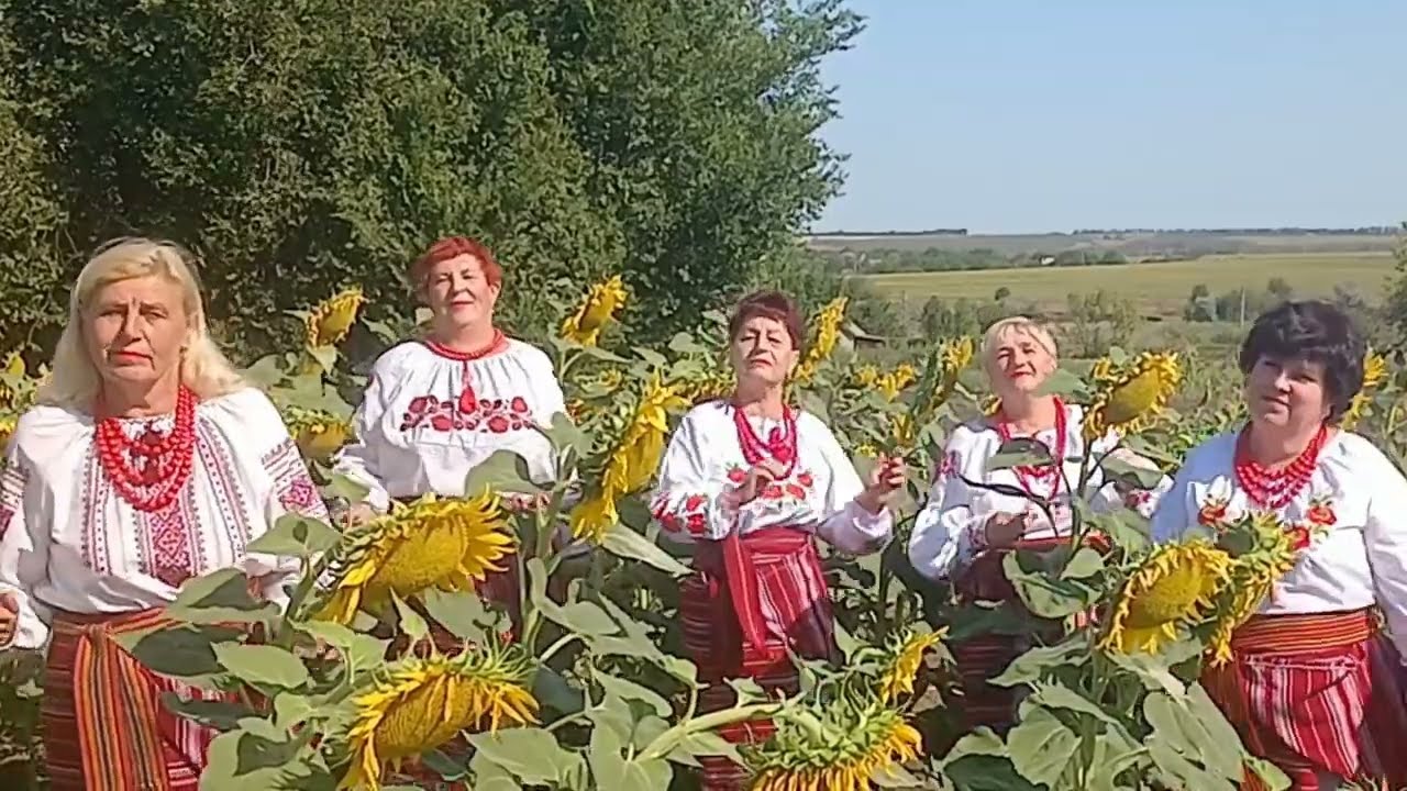 Вийшли козаки коней напувать