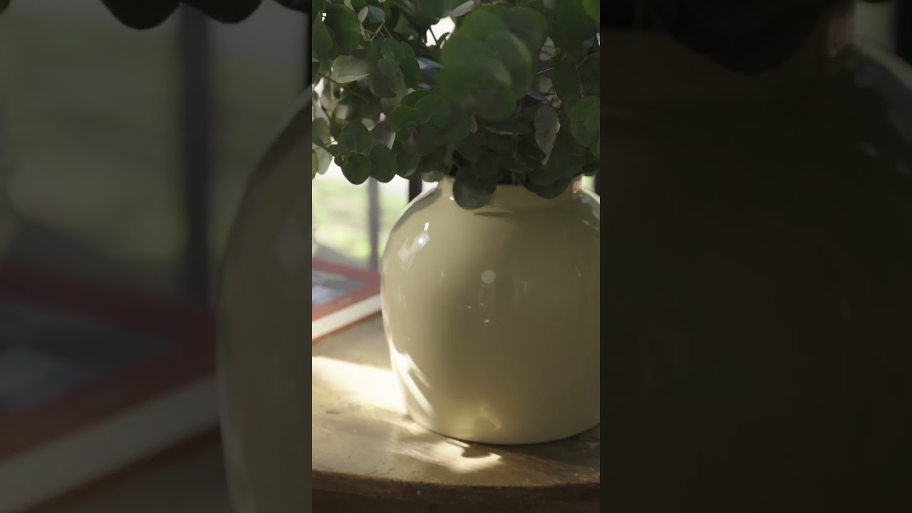 Infuse your living space with everlasting greenery using our gorgeous faux #eucalyptus stems