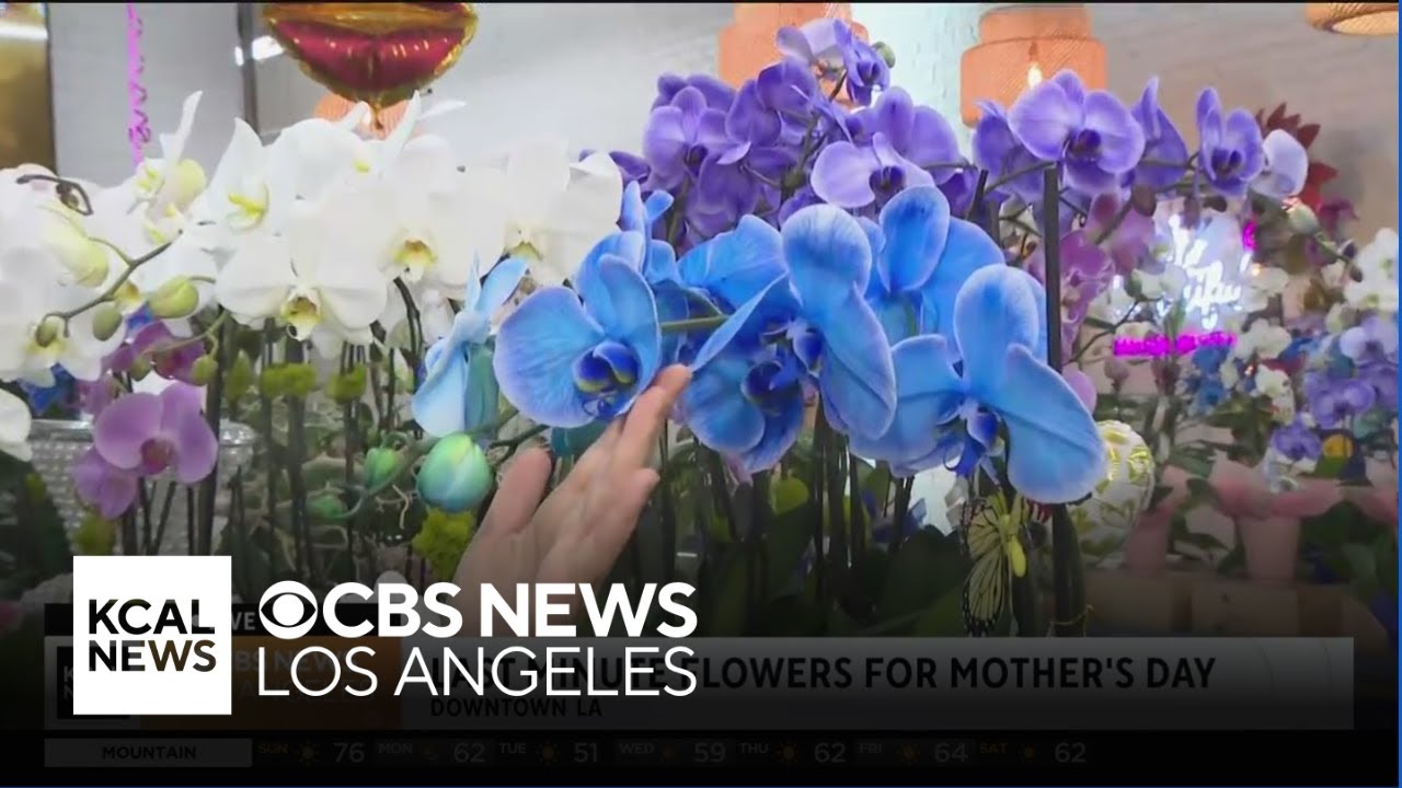 Mother’s Day draws crowds to California Flower Mall for wide range of floral offerings