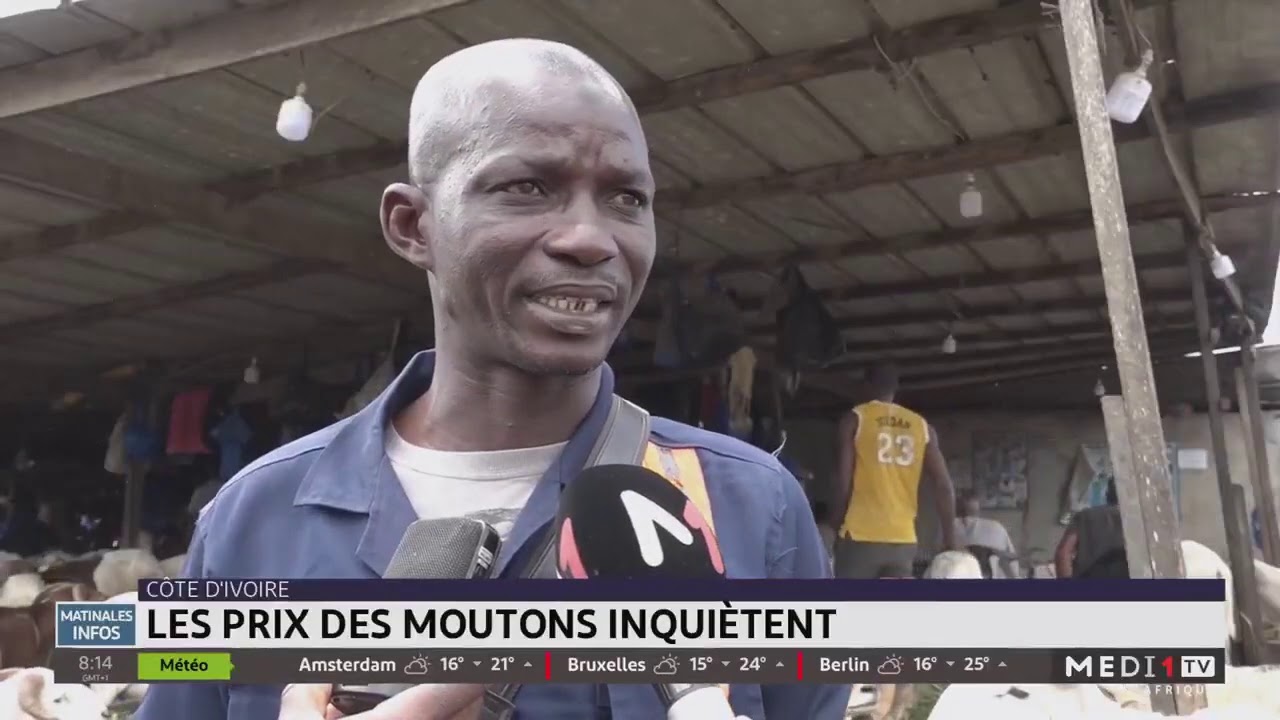 Côte d´Ivoire: les prix des moutons inquiètent