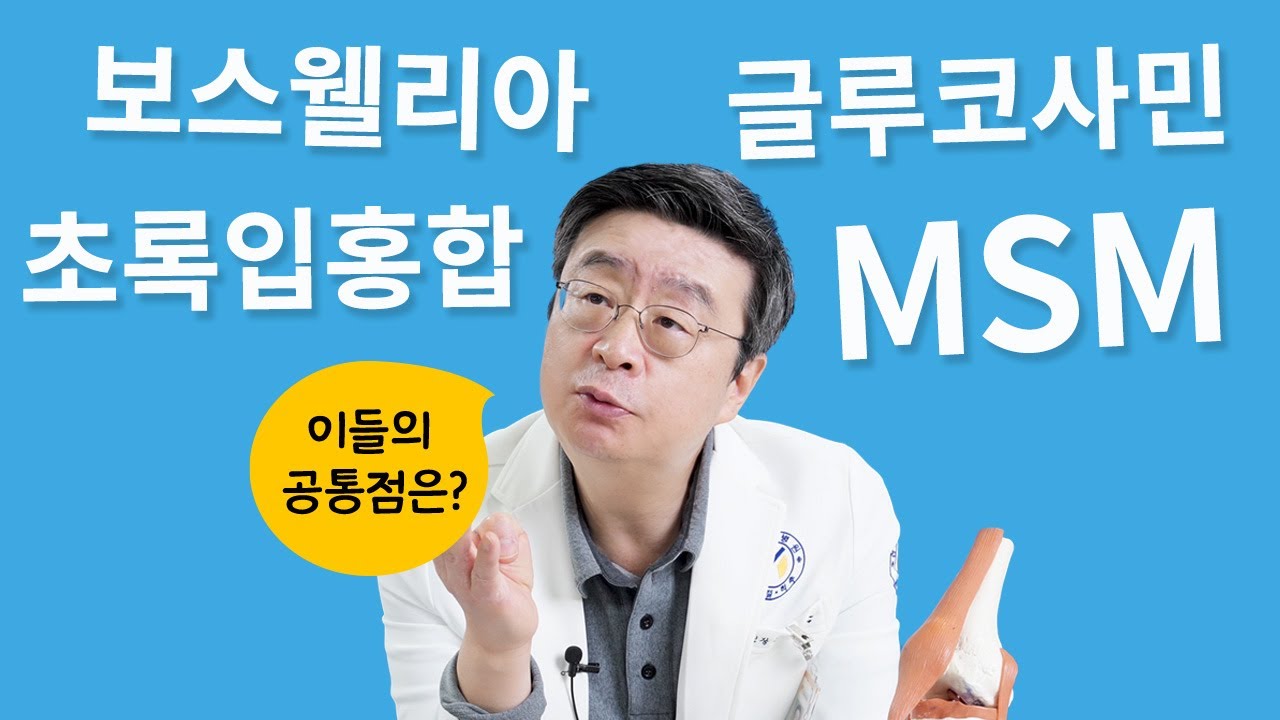 무릎에좋은음식(보스웰리아,글루코사민,MSM,초록입홍합) 4가지 성분의 공통점은