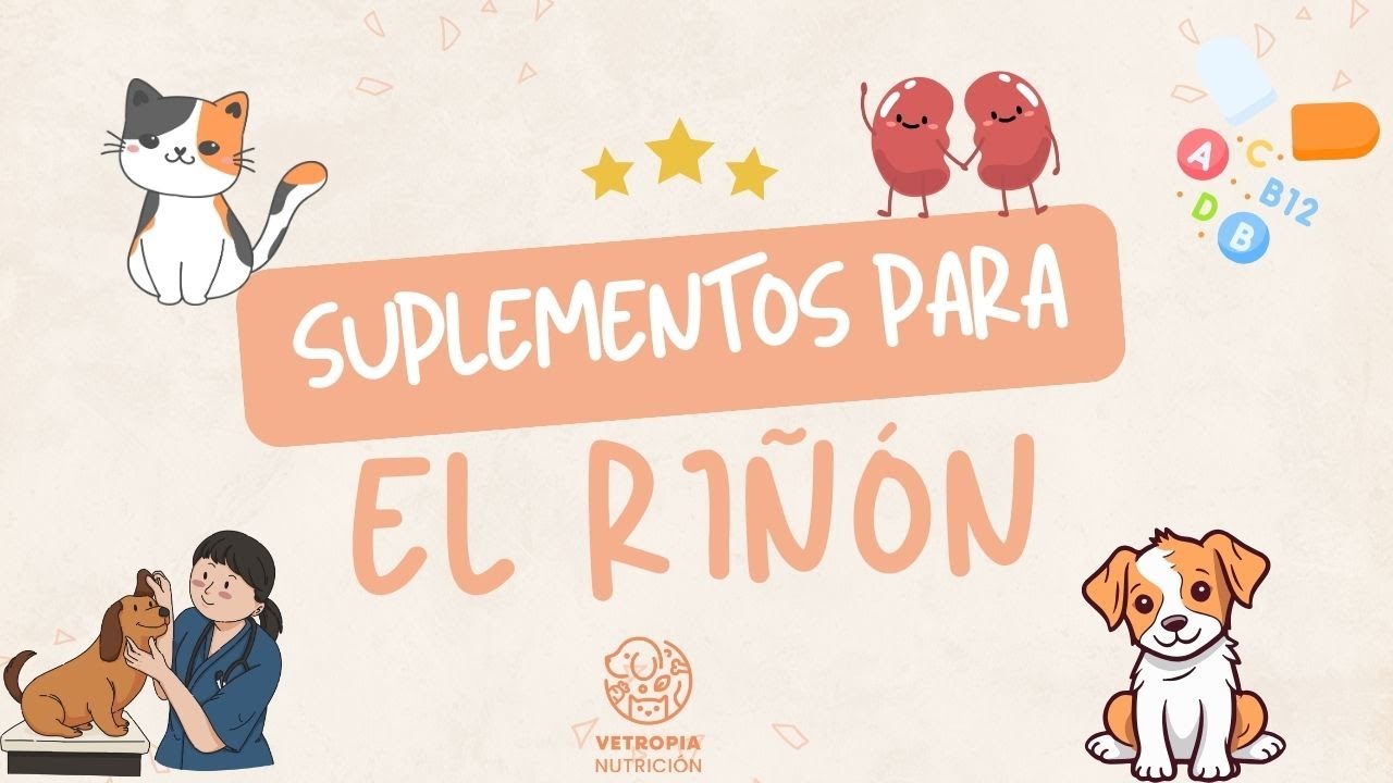 SUPLEMENTOS PARA PERROS RENALES 🐶😺 Y GATOS