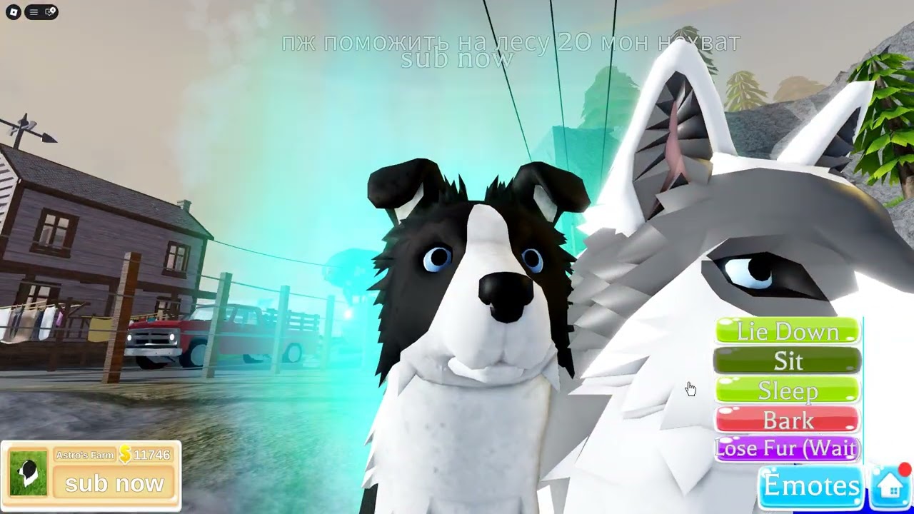 Puppy Dance in Farm World. The music came, and Astro had to dance.