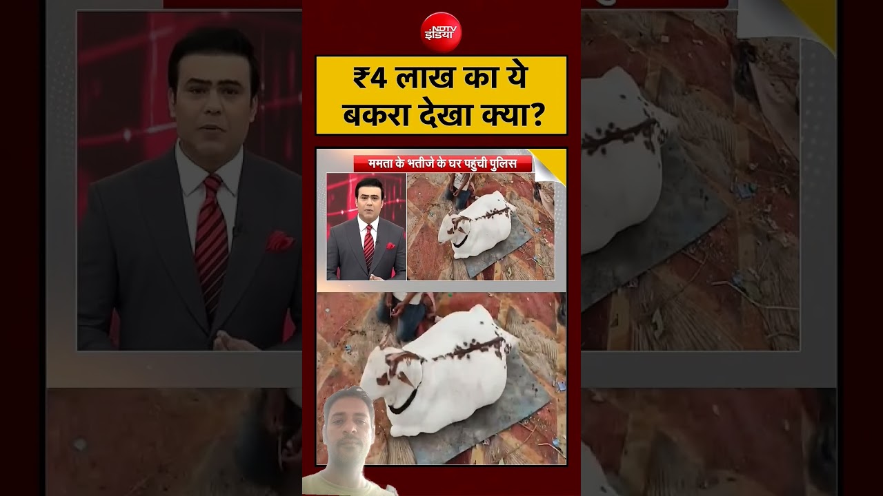 Bakrid 2026: Goat Worth ₹4 Lakh Goes Viral in UP! #shorts