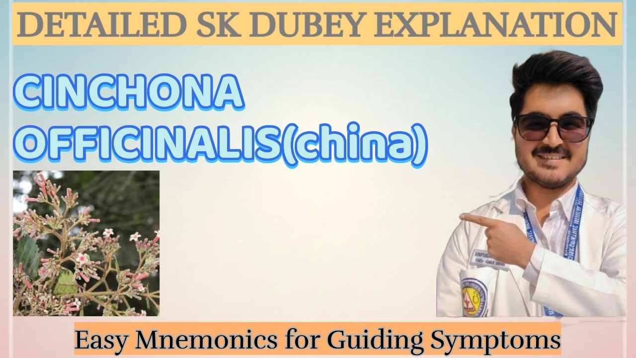 CINCHONA OFFICINALIS [China](Understanding Remedy in a Simple Way 🌿)