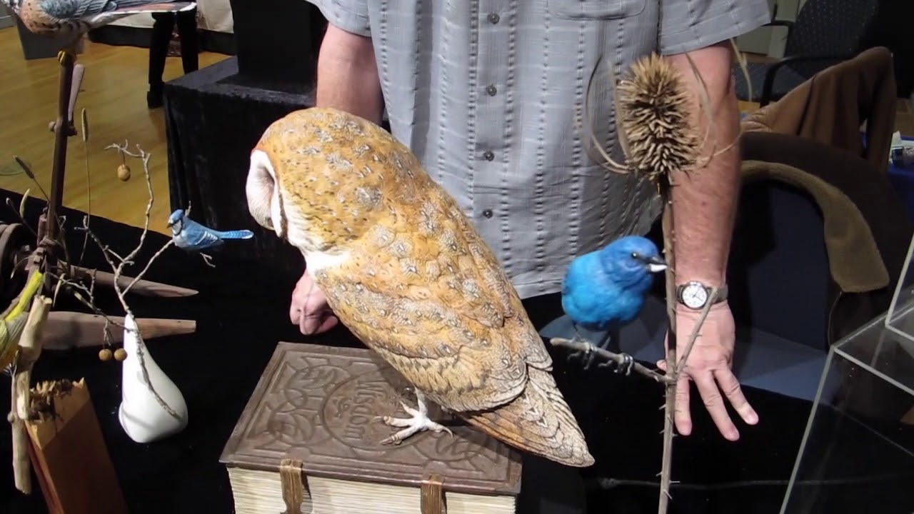 Tom Baldwin's Realistic Barn Owl Carving